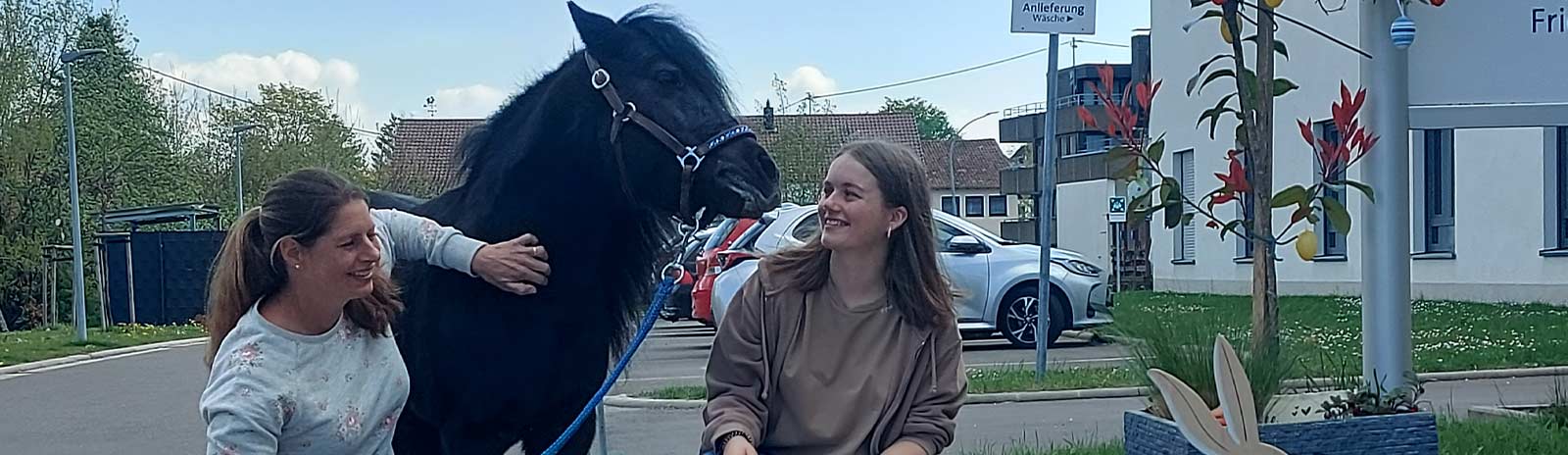 Wohnen-Kastanien_Pony_slider